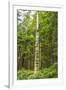 USA, Alaska, Prince of Wales Island, Kasaan. Totem pole and forest.-Jaynes Gallery-Framed Premium Photographic Print