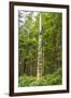 USA, Alaska, Prince of Wales Island, Kasaan. Totem pole and forest.-Jaynes Gallery-Framed Premium Photographic Print