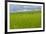 USA, Alaska. Reeds and Quartz Lake.-Jaynes Gallery-Framed Premium Photographic Print