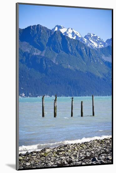 USA, Alaska, Seward, boat harbor. Old piling with cormorants.-Savanah Stewart-Mounted Photographic Print