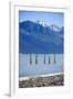 USA, Alaska, Seward, boat harbor. Old piling with cormorants.-Savanah Stewart-Framed Photographic Print