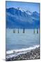 USA, Alaska, Seward, boat harbor. Piling with cormorants.-Savanah Stewart-Mounted Photographic Print