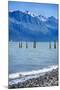 USA, Alaska, Seward, boat harbor. Piling with cormorants.-Savanah Stewart-Mounted Photographic Print