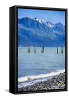 USA, Alaska, Seward, boat harbor. Piling with cormorants.-Savanah Stewart-Framed Stretched Canvas