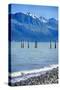 USA, Alaska, Seward, boat harbor. Piling with cormorants.-Savanah Stewart-Stretched Canvas