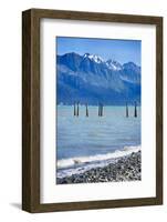 USA, Alaska, Seward, boat harbor. Piling with cormorants.-Savanah Stewart-Framed Photographic Print