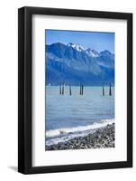 USA, Alaska, Seward, boat harbor. Piling with cormorants.-Savanah Stewart-Framed Photographic Print