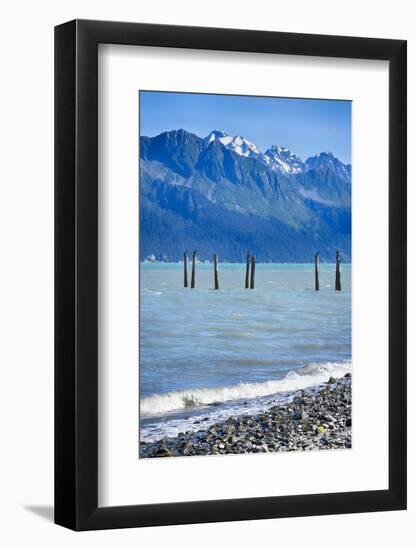 USA, Alaska, Seward, boat harbor. Piling with cormorants.-Savanah Stewart-Framed Photographic Print