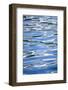 USA, Alaska, Seward, boat harbor.-Savanah Stewart-Framed Photographic Print