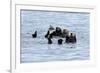 USA, Alaska, Seward, otter rafts-Savanah Stewart-Framed Photographic Print