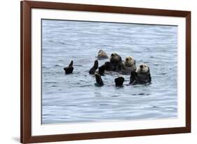USA, Alaska, Seward, otter rafts-Savanah Stewart-Framed Photographic Print