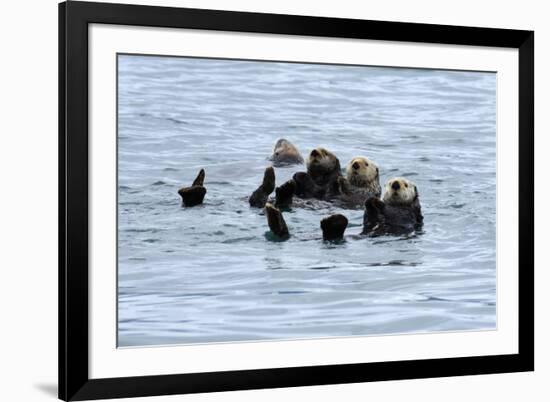 USA, Alaska, Seward, otter rafts-Savanah Stewart-Framed Photographic Print