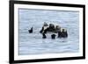 USA, Alaska, Seward, otter rafts-Savanah Stewart-Framed Photographic Print