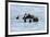 USA, Alaska, Seward, otter rafts-Savanah Stewart-Framed Photographic Print