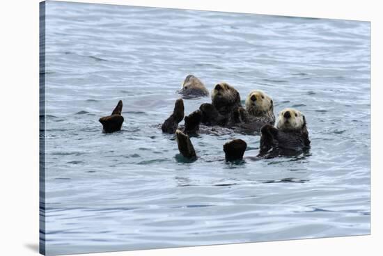 USA, Alaska, Seward, otter rafts-Savanah Stewart-Stretched Canvas