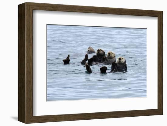 USA, Alaska, Seward, otter rafts-Savanah Stewart-Framed Photographic Print