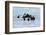 USA, Alaska, Seward, otter rafts-Savanah Stewart-Framed Photographic Print