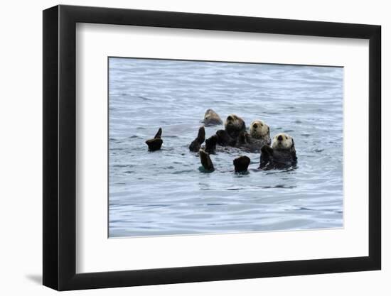 USA, Alaska, Seward, otter rafts-Savanah Stewart-Framed Photographic Print