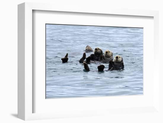 USA, Alaska, Seward, otter rafts-Savanah Stewart-Framed Photographic Print