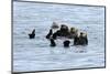 USA, Alaska, Seward, otter rafts-Savanah Stewart-Mounted Photographic Print