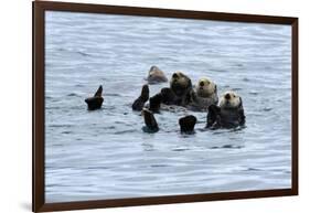 USA, Alaska, Seward, otter rafts-Savanah Stewart-Framed Photographic Print