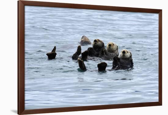 USA, Alaska, Seward, otter rafts-Savanah Stewart-Framed Photographic Print