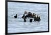 USA, Alaska, Seward, otter rafts-Savanah Stewart-Framed Photographic Print