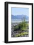 USA, Alaska, Seward.-Savanah Stewart-Framed Photographic Print