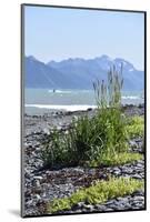 USA, Alaska, Seward.-Savanah Stewart-Mounted Photographic Print