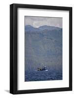 Usa, Alaska, Southeast North of Ketchikan, Seine Fishing Boat-Savanah Stewart-Framed Photographic Print