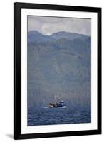 Usa, Alaska, Southeast North of Ketchikan, Seine Fishing Boat-Savanah Stewart-Framed Photographic Print