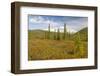 USA, Alaska, Steese Highway. Subalpine tundra landscape.-Jaynes Gallery-Framed Photographic Print