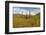 USA, Alaska, Steese Highway. Subalpine tundra landscape.-Jaynes Gallery-Framed Photographic Print