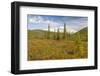 USA, Alaska, Steese Highway. Subalpine tundra landscape.-Jaynes Gallery-Framed Photographic Print