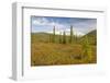 USA, Alaska, Steese Highway. Subalpine tundra landscape.-Jaynes Gallery-Framed Photographic Print