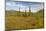 USA, Alaska, Steese Highway. Subalpine tundra landscape.-Jaynes Gallery-Mounted Photographic Print