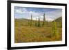 USA, Alaska, Steese Highway. Subalpine tundra landscape.-Jaynes Gallery-Framed Premium Photographic Print