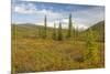 USA, Alaska, Steese Highway. Subalpine tundra landscape.-Jaynes Gallery-Mounted Premium Photographic Print