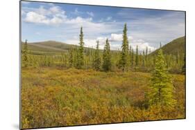 USA, Alaska, Steese Highway. Subalpine tundra landscape.-Jaynes Gallery-Mounted Photographic Print