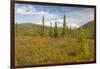 USA, Alaska, Steese Highway. Subalpine tundra landscape.-Jaynes Gallery-Framed Photographic Print