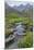 USA, Alaska, Talkeetna Mountains. Landscape with Archangel Creek.-Jaynes Gallery-Mounted Premium Photographic Print