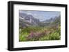 USA, Alaska, Talkeetna Mountains. Mountain landscape with fireweed flowers.-Jaynes Gallery-Framed Photographic Print