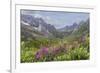 USA, Alaska, Talkeetna Mountains. Mountain landscape with fireweed flowers.-Jaynes Gallery-Framed Premium Photographic Print