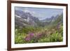 USA, Alaska, Talkeetna Mountains. Mountain landscape with fireweed flowers.-Jaynes Gallery-Framed Premium Photographic Print