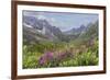 USA, Alaska, Talkeetna Mountains. Mountain landscape with fireweed flowers.-Jaynes Gallery-Framed Premium Photographic Print