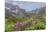 USA, Alaska, Talkeetna Mountains. Mountain landscape with fireweed flowers.-Jaynes Gallery-Mounted Premium Photographic Print