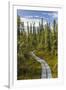 USA, Alaska, Tetlin National Wildlife Refuge. Scenic of Hidden Lake Trail.-Jaynes Gallery-Framed Photographic Print