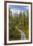 USA, Alaska, Tetlin National Wildlife Refuge. Scenic of Hidden Lake Trail.-Jaynes Gallery-Framed Photographic Print