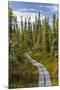 USA, Alaska, Tetlin National Wildlife Refuge. Scenic of Hidden Lake Trail.-Jaynes Gallery-Mounted Photographic Print
