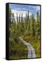 USA, Alaska, Tetlin National Wildlife Refuge. Scenic of Hidden Lake Trail.-Jaynes Gallery-Framed Stretched Canvas